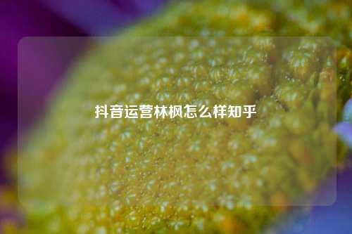 抖音运营林枫怎么样知乎