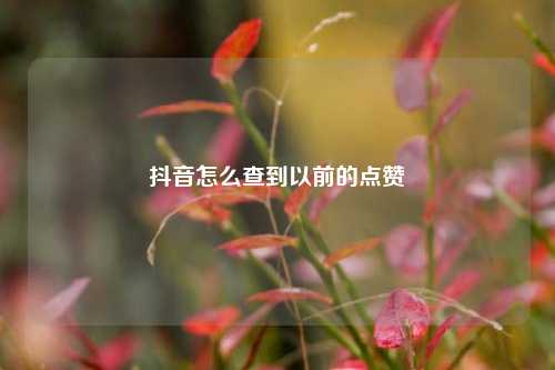 抖音怎么查到以前的点赞