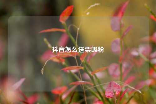 抖音怎么送票吸粉