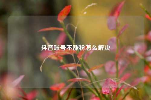 抖音账号不涨粉怎么解决