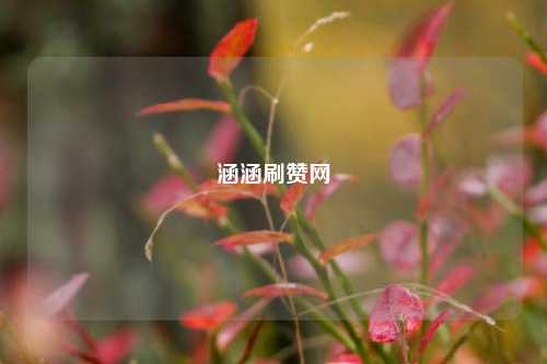 涵涵刷赞网