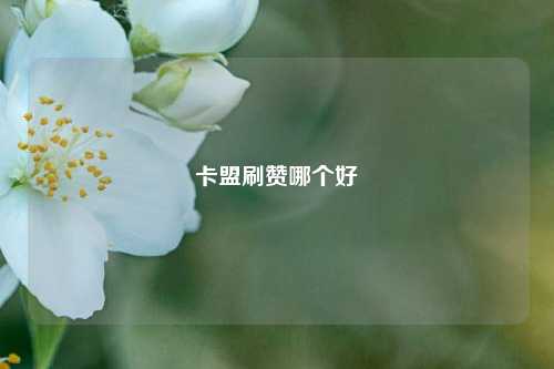 卡盟刷赞哪个好