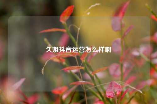 久姐抖音运营怎么样啊