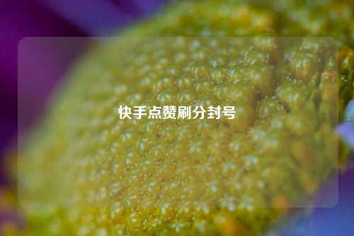 快手点赞刷分封号