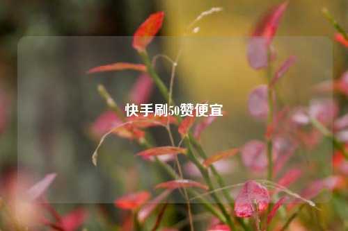 快手刷50赞便宜