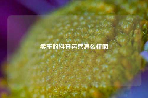 卖车的抖音运营怎么样啊