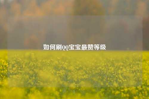 如何刷QQ宝宝最赞等级