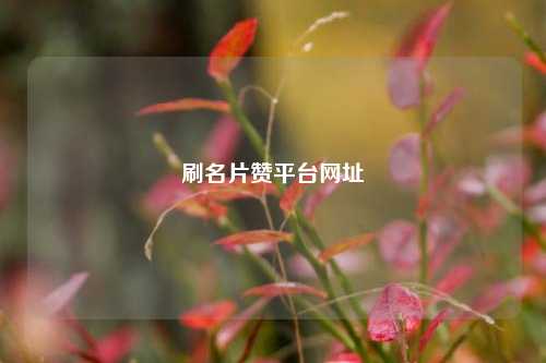 刷名片赞平台网址
