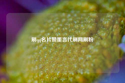 刷qq名片赞墨言代刷网刷粉