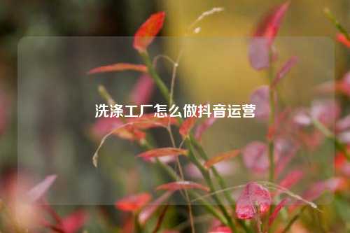 洗涤工厂怎么做抖音运营